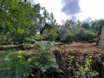 Quinta T3 para Venda em Gondar