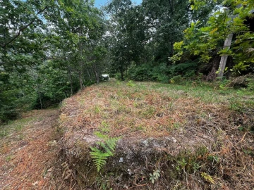 Quinta T3 para Venda em Gondar