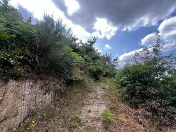 Quinta T3 para Venda em Gondar