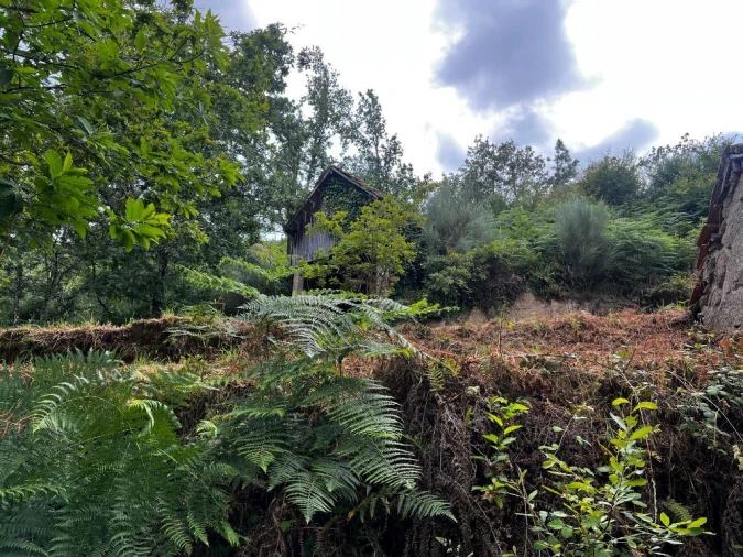 Quinta T3 para Venda em Gondar Foto 11