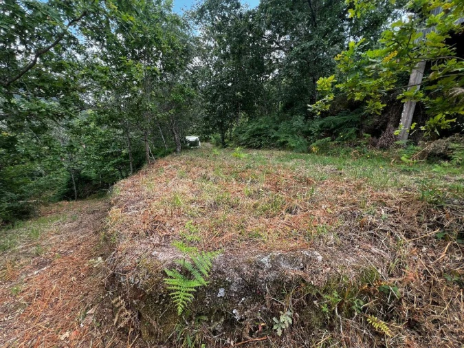 Quinta T3 para Venda em Gondar Foto 13