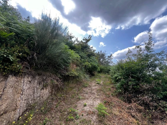 Quinta T3 para Venda em Gondar Foto 17