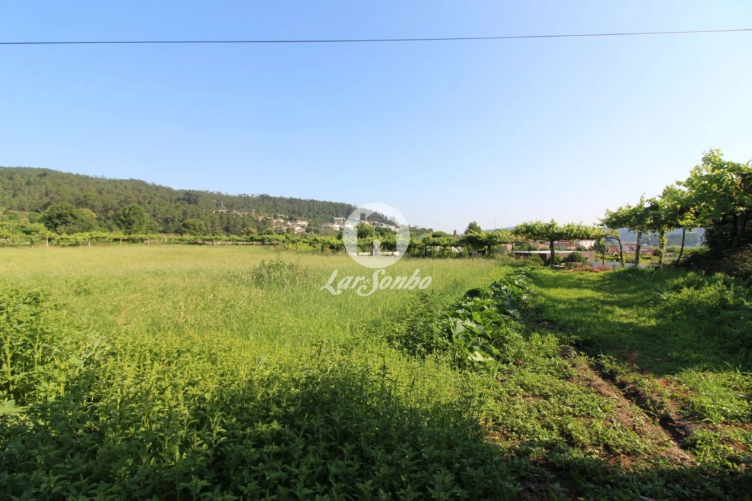 Moradia T3 para Venda em Airo Foto 18