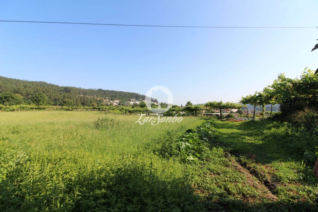 Moradia T3 para Venda em Airo Foto 21