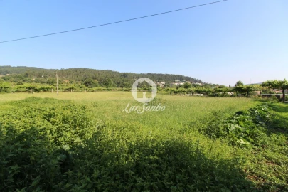 Moradia T3 para Venda em Airo