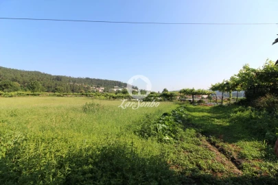 Moradia T3 para Venda em Airo