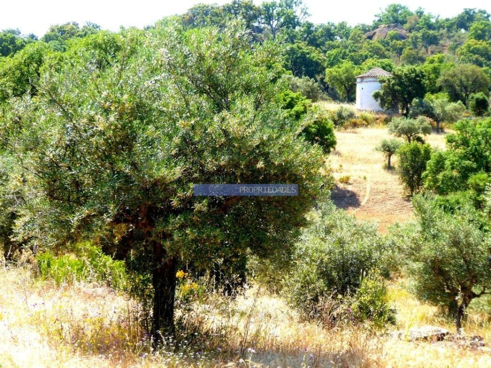 Terreno Agricola ou Rústico para Venda em Escalhão Foto 3