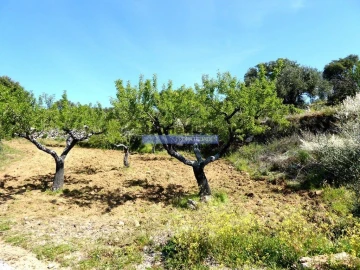 Terreno Agricola ou Rústico para Venda em Escalhão