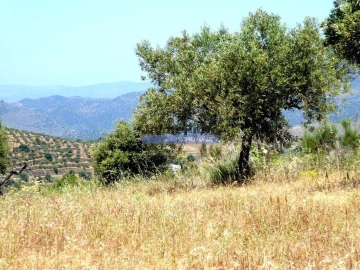 Terreno Agricola ou Rústico para Venda em Escalhão