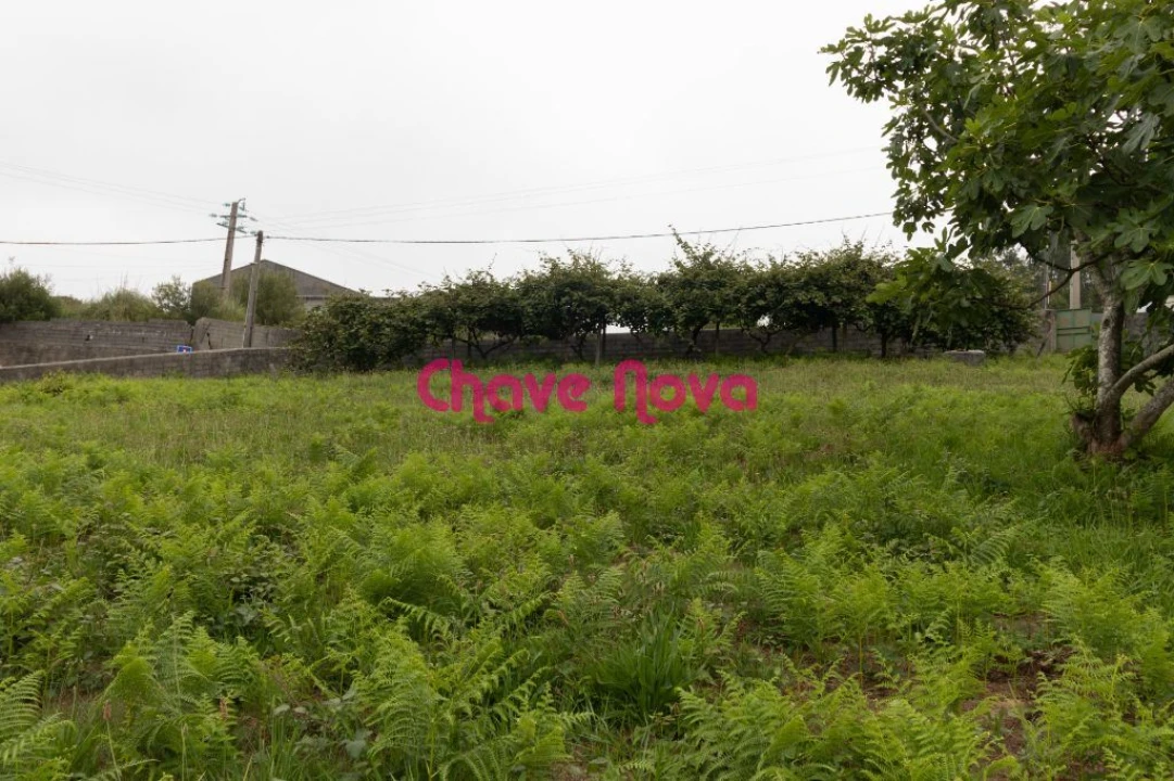 Terreno para Venda em Santa Maria da Feira, Travanca, Sanfins e Espargo Foto 6