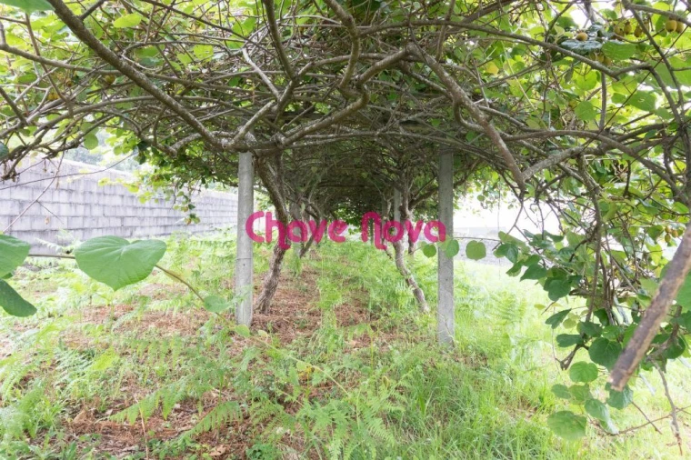 Terreno para Venda em Santa Maria da Feira, Travanca, Sanfins e Espargo Foto 4