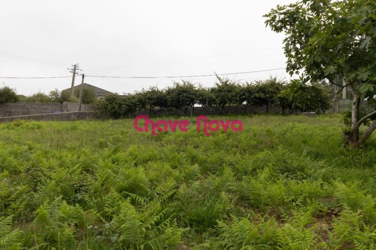 Terreno para Venda em Santa Maria da Feira, Travanca, Sanfins e Espargo Foto 6