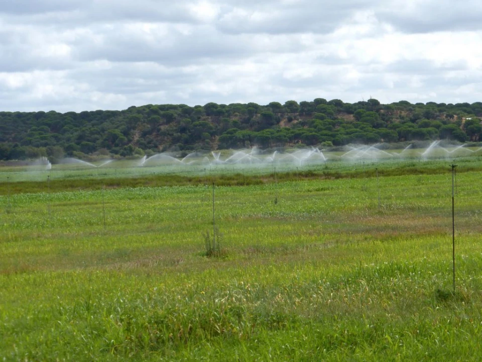 Quinta para Venda em Beja (Salvador e Santa Maria da Feira) Foto 4