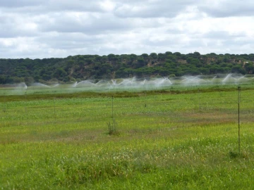 Quinta para Venda em Beja (Salvador e Santa Maria da Feira)