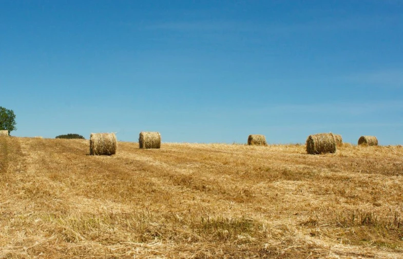 Quinta para Venda em Beja (Salvador e Santa Maria da Feira) Foto 3