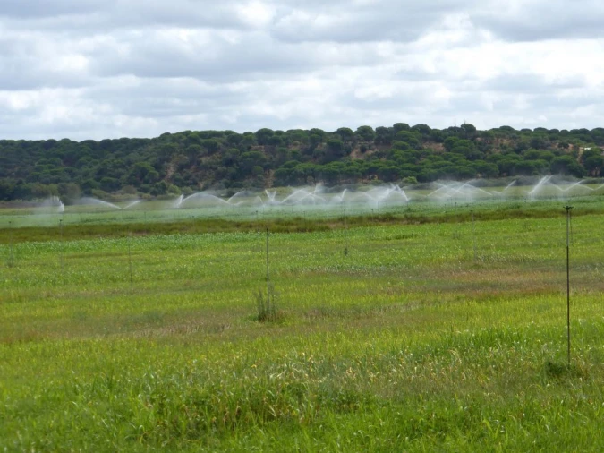 Quinta para Venda em Beja (Salvador e Santa Maria da Feira) Foto 4