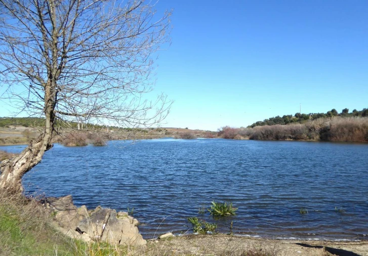 Terreno Agricola ou Rústico para Venda em Baleizão Foto 5