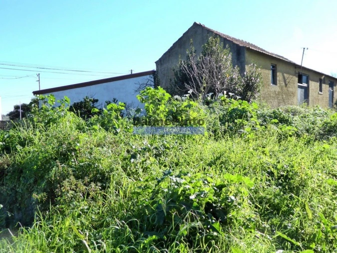 Quinta T0 para Venda em Maiorca Foto 4