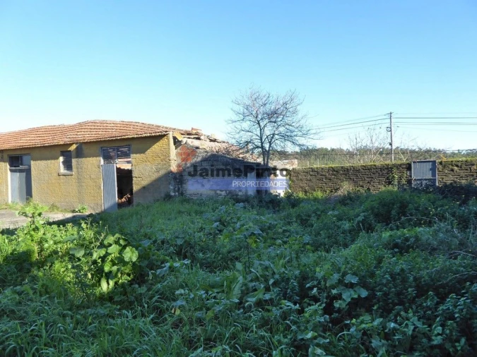 Quinta T0 para Venda em Maiorca Foto 5