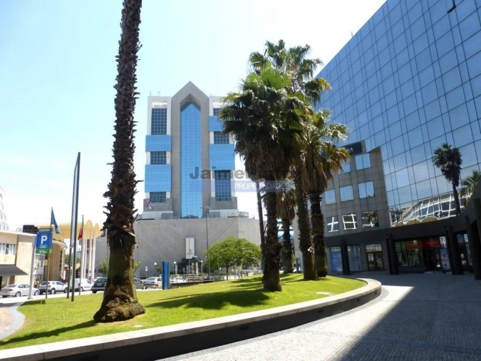 Terreno P/ Prédio para Venda em Paranhos Foto 9