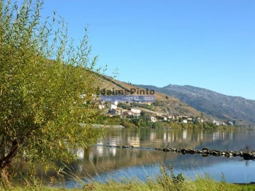 Moradia T4 para Venda em Fontelas