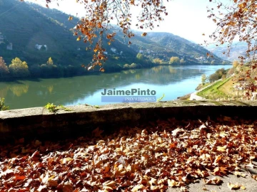 Moradia T4 para Venda em Fontelas