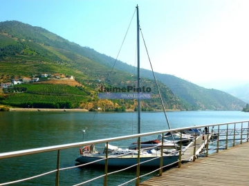 Moradia T4 para Venda em Fontelas