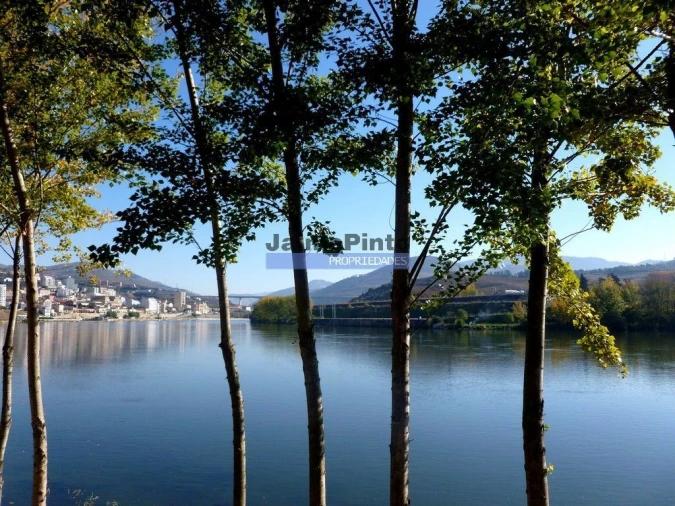 Moradia T4 para Venda em Fontelas Foto 2