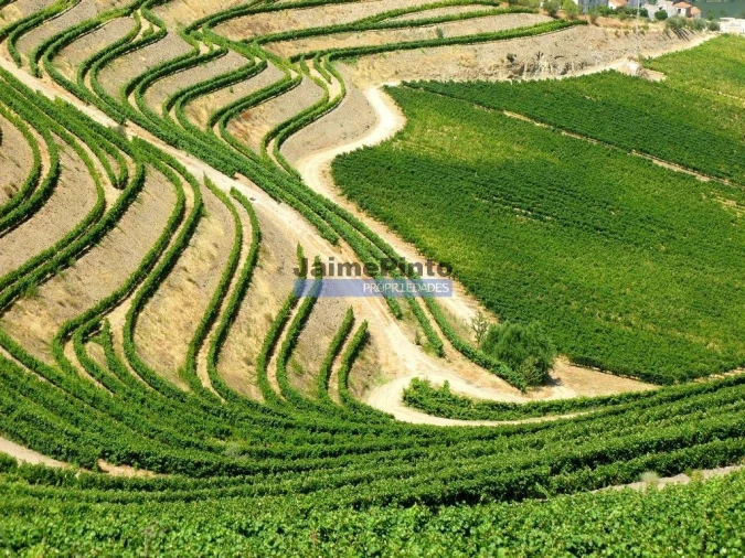 Moradia T4 para Venda em Fontelas Foto 3