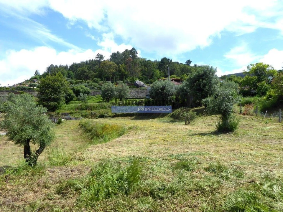 Terreno para Venda em Calheiros Foto 3
