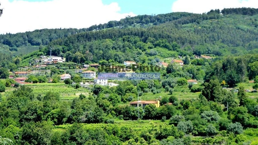 Terreno para Venda em Calheiros
