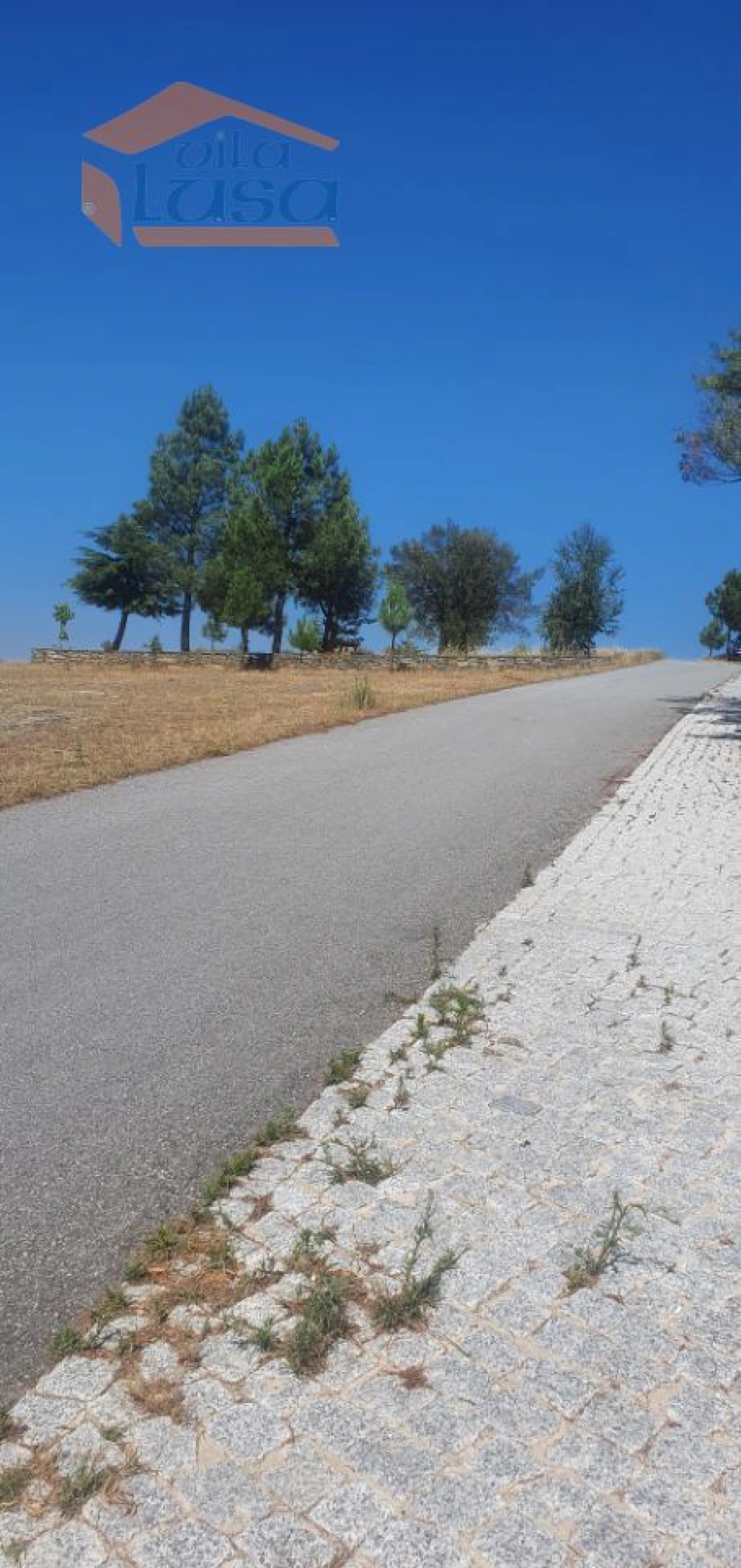 Terreno Agricola ou Rústico para Venda em Castanheiro do Sul Foto 4
