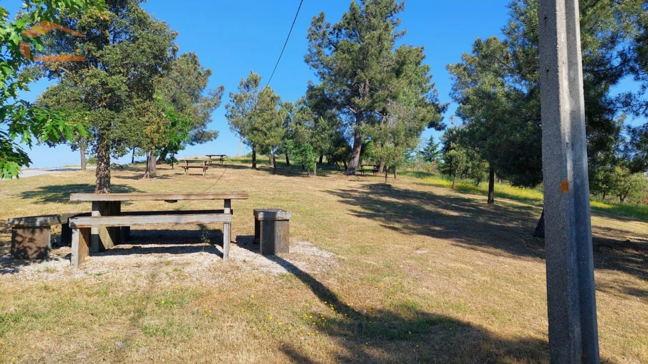 Terreno Agricola ou Rústico para Venda em Castanheiro do Sul Foto 12