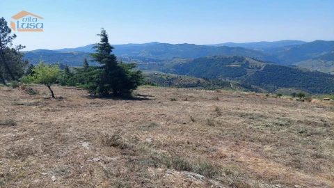 Terreno Agricola ou Rústico para Venda em Castanheiro do Sul