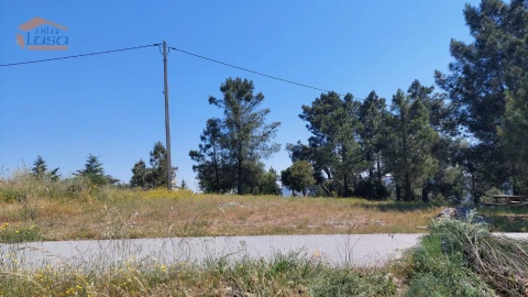 Terreno Agricola ou Rústico para Venda em Castanheiro do Sul