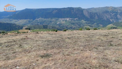 Terreno Agricola ou Rústico para Venda em Castanheiro do Sul