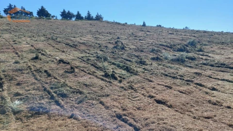 Terreno Agricola ou Rústico para Venda em Castanheiro do Sul