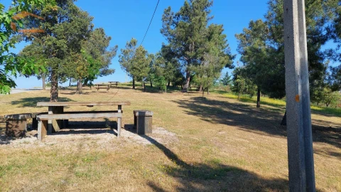 Terreno Agricola ou Rústico para Venda em Castanheiro do Sul