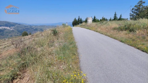 Terreno Agricola ou Rústico para Venda em Castanheiro do Sul