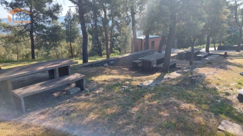 Terreno Agricola ou Rústico para Venda em Castanheiro do Sul