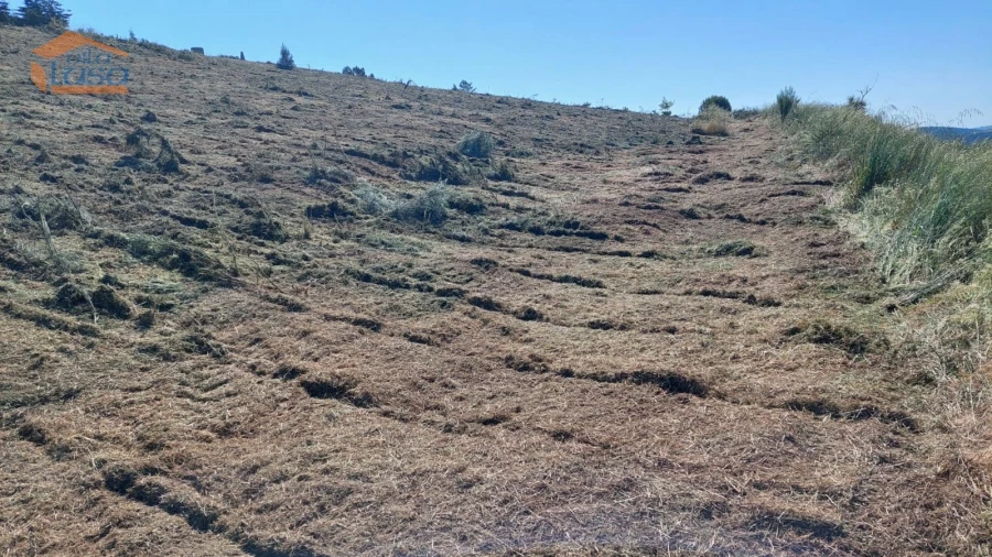 Terreno Agricola ou Rústico para Venda em Castanheiro do Sul Foto 9