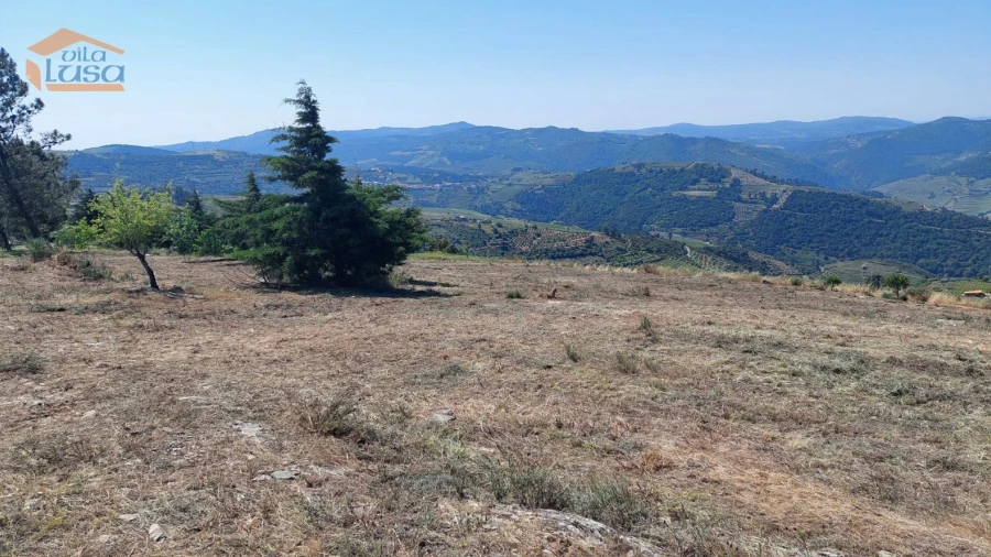 Terreno Agricola ou Rústico para Venda em Castanheiro do Sul
