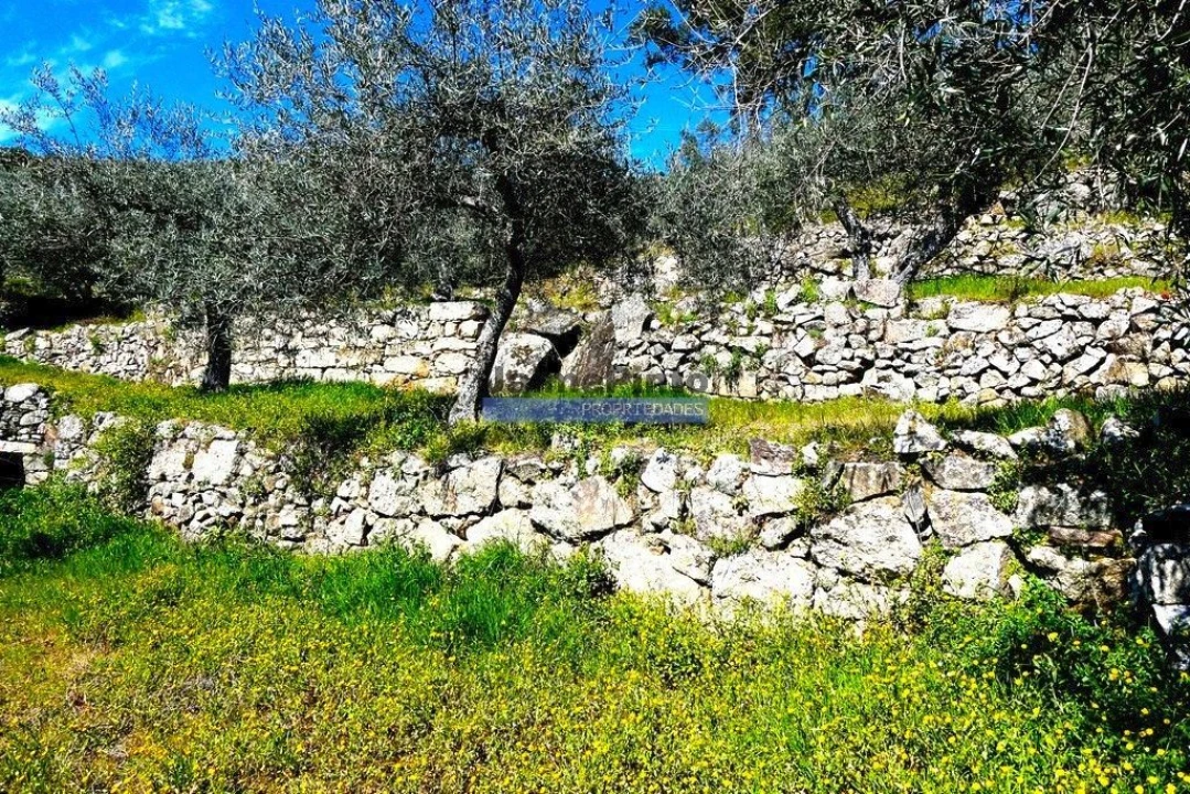 Terreno Agricola ou Rústico para Venda em Pombal Foto 1