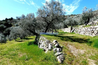 Terreno Agricola ou Rústico para Venda em Pombal