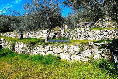 Terreno Agricola ou Rústico para Venda em Pombal