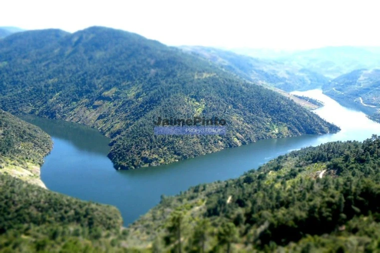 Terreno Agricola ou Rústico para Venda em Pombal Foto 8