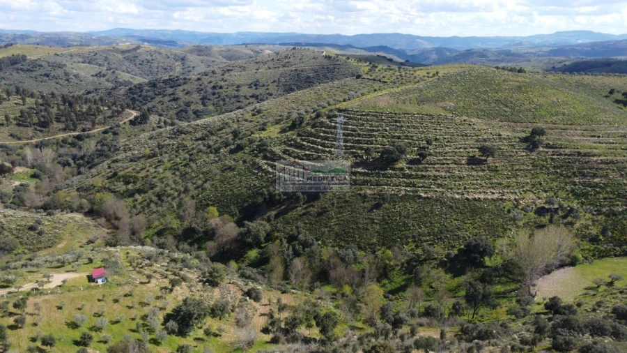 Quinta para Venda em Alfandega da Fe Foto 2
