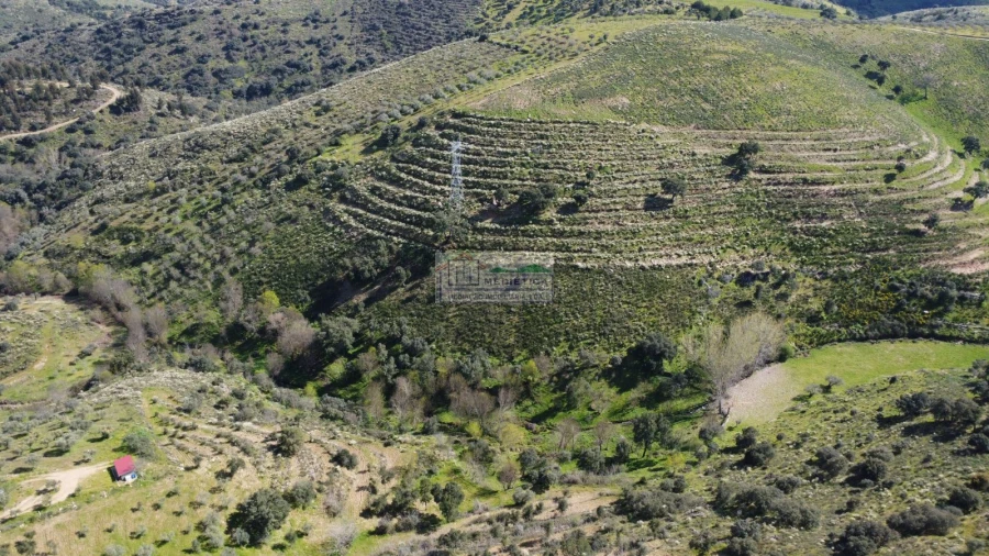 Quinta para Venda em Alfandega da Fe Foto 3