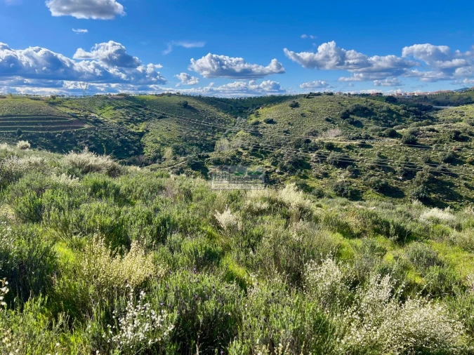 Quinta para Venda em Alfandega da Fe Foto 10