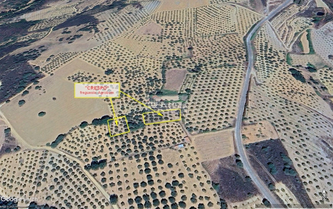 Quinta para Venda em Agrobom, Saldonha e Vale Pereiro Foto 13